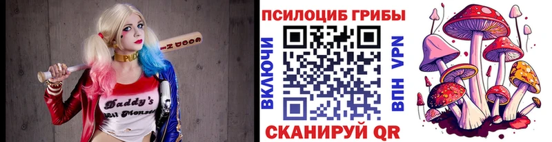 блэк спрут как зайти где купить наркотик Краснозаводск Галлюциногенные грибы Psilocybe